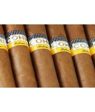 COHIBA ESPLENDIDOS
