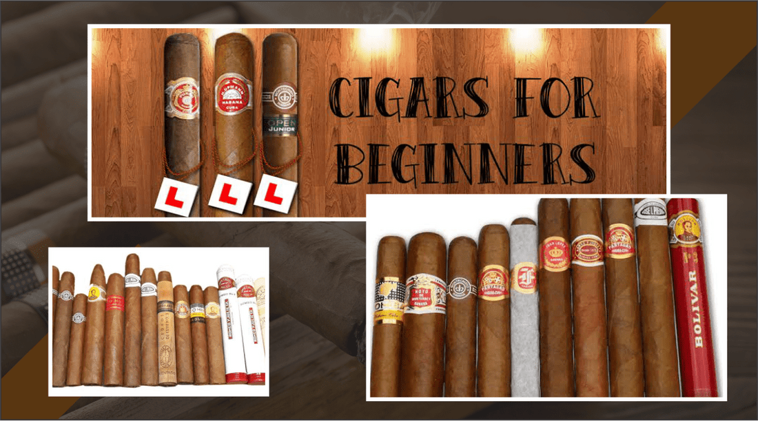 Cigars for Beginner Cigars at Charlies Cigars, Powai Mumbai