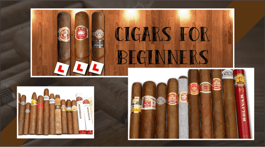 Cigars for Beginner Cigars at Charlies Cigars, Powai Mumbai
