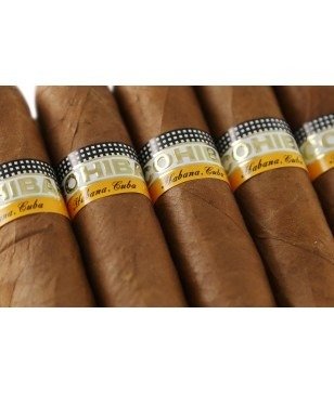 COHIBA ROBUSTO