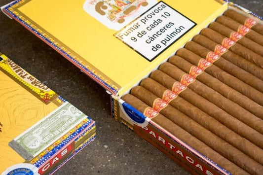 Partagas Lusitanias