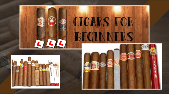 Cigars for Beginner