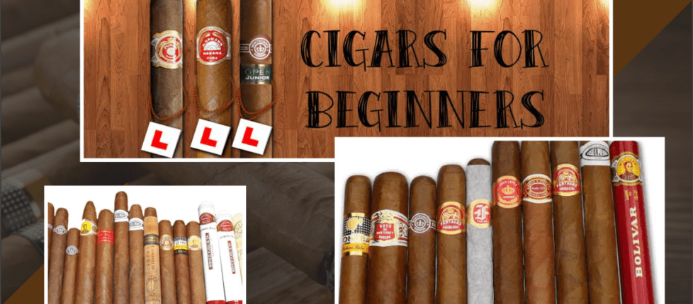 Cigars for Beginners